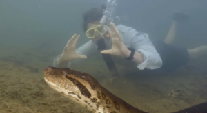 Worlds Largest Snake Discovered & It’s A Beast | Stories Ongoing